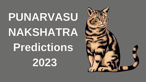 PUNARVASU NAKSHATRA PREDICTIONS FOR 2023