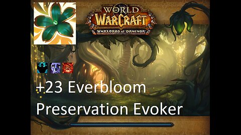 +23 Everbloom | Preservation Evoker | Fortified | Afflicted | Raging | #82