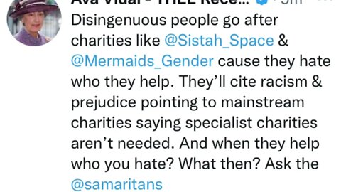 It was Ava Vidal who posted that she seemed to support the mermaids charity