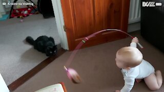 Cat and baby have great fun in each other's company