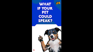 What if your pet could speak? *
