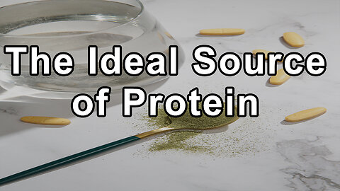 The Ideal Source of Protein - Brenda Davis, R.D.