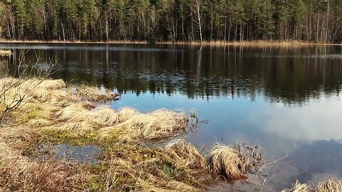 Lahti Finland, Lake Kaarlammi and surroundings 1 May 2023