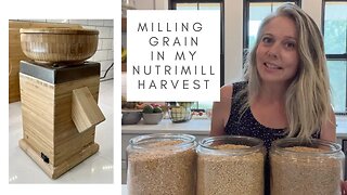 Milling Grain In My NutriMIll Harvest