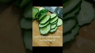 Fermented CUCUMBERS