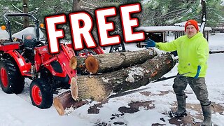 FREE FIREWOOD...Yes I'll Take It!