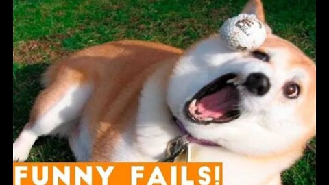 ANIMALS FUNNY FAILS COMPILATION 2021 😂😂