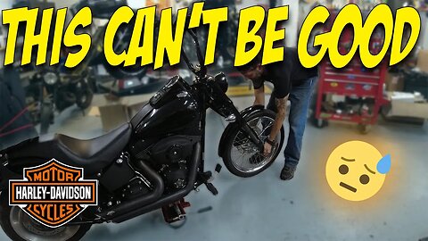 Uncovering the TRUTH about my Harley Davidson Night Train...