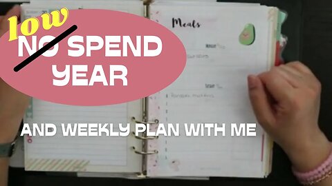 Planner No-Low Spend Update & Weekly Plan with Me