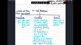 Cell Membrane Components