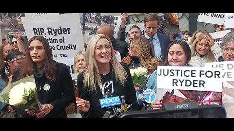 The Emergency Vigil and Protest for Ryder #BanHorseCarriages 45th& 9th av 10/18/22 NYCLASS & V.A.R.