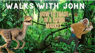 How To Make Profits In A Downmarket