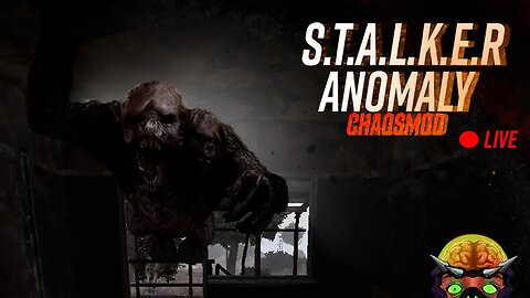 possibly raiding the next lab, S.T.A.L.K.E.R Anomaly hard /survival /campfire /chaos mod