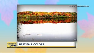 Thursday's Top 7: Best fall colors