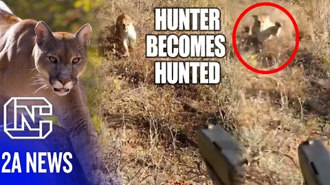 This Shocking Video of Cougar Attacking Hunter Proves Joe Biden Wrong About Magazine Bans