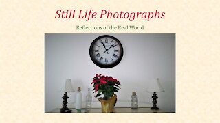 Still Life Photographs: Reflections of the Real World