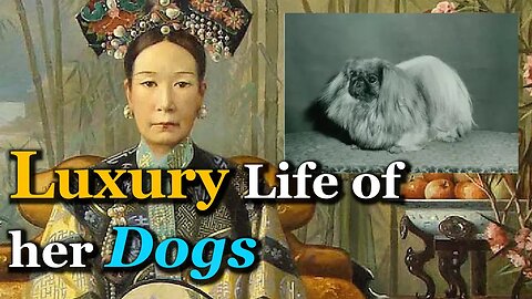 How Luxurious was Empress Dowager Cixi's Dogs?