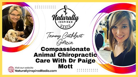 Compassionate Animal Chiropractic Care With Dr Paige Mott