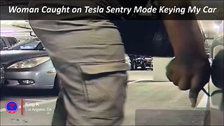 Woman Caught on Tesla Sentry Mode Keying My Car | TeslaCam Live