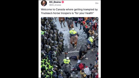 Ottawa police horses trample protestors increasing tensions between protestors and police