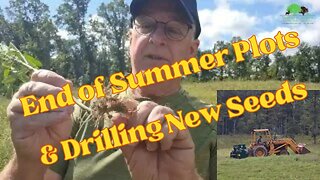 Drilling Fall Seeds into Summer Cover Crop Food Plots