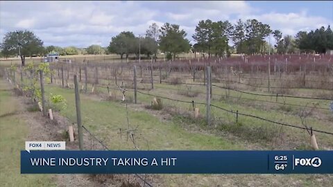 Florid wine industry taking hit