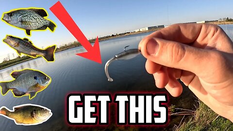 This SMALL Change Makes This BAIT AMAZING! (MULTI SPECIES) #fishing #outdoors #pondfishing