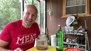 Solé Water & Supplements: My Lion Diet (Carnivore) Experience (16 months on meat, water, & salt)