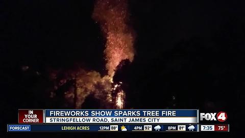 Fireworks Show Sparks Tree Fire
