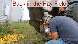 Back in the Hay Field