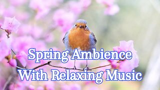 Wonderful Spring Ambience With Relaxing Music & Birds - 3 Hours