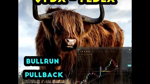 $FDX Pullback bull run