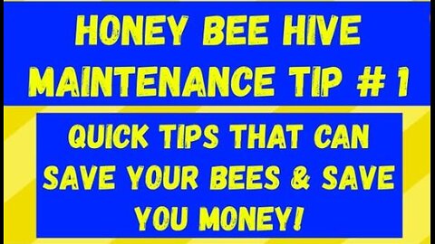 Beekeeping for Beginners #beekeeping #honeybee #honey #love money #bees