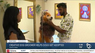 Dog groomer donates time to help shelter animals get adopted