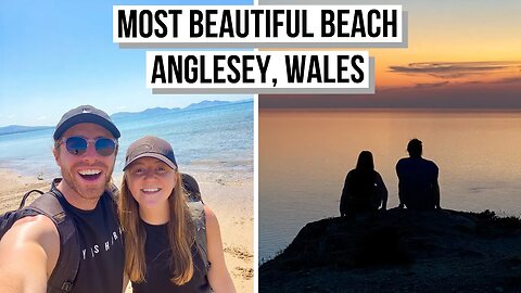 The Most Beautiful Beach in Wales! Jellyfish, Puffins & Sunset (What to do in Anglesey, Wales)