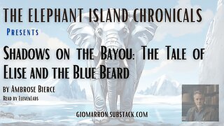 Shadows on the Bayou: The Tale of Elise and the Blue Beard