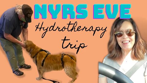 New Year’s Eve Dog Vlog | Libby Goes to Hydrotherapy | THANK YOU to Our Community! #dogs