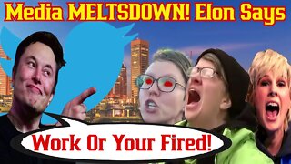 Elon Musk Expects HARD Work At Twitter! Media & Employees FREAK Out!