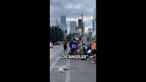 Why do all Democrat-run cities look like Los Angeles?