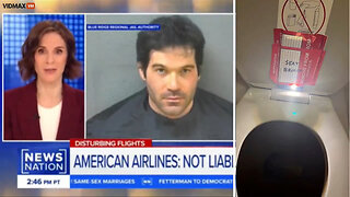 American Airlines Is Blaming The 9-Year-Old That Was Filmed By A Pedo Flight Attendant