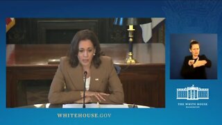 Kamala: SCOTUS 2nd Amend Decision Defies The Constitution
