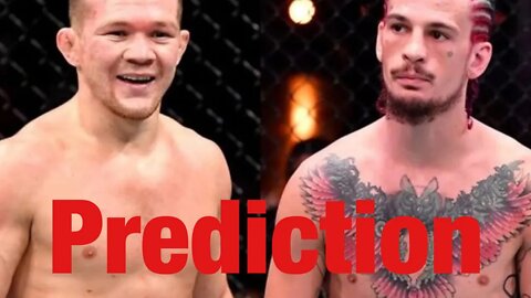 Petr Yan Vs Sean O’Malley Early Prediction