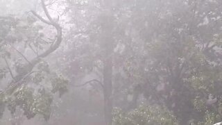 Heavy Thunderstorm - Strong Wind, Loud Thunder, and Heavy Downpour of Rain - Soothing Sounds