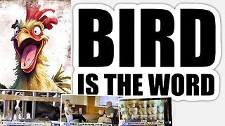 Bird Flu | Michigan's Largest Egg Farm Lays Off 400 Workers Amid Bird Flu Outbreak + Bird Flu Found In 3 New Dairy Herds? Is Bird Flu Just In Time for Election Season 2024? (92 Tix Remain for June 7-8, Detroit, ReAwaken)