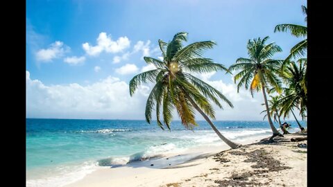 Relaxing Music - Caribbean Dreams