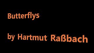 Butterflys © Music Hartmut Raßbach