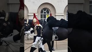 Eyes left eyes front #horseguardsparade