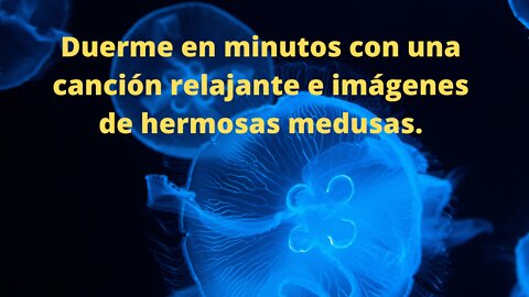 Duerme en minutos con una canción relajante e imágenes de hermosas medusas.