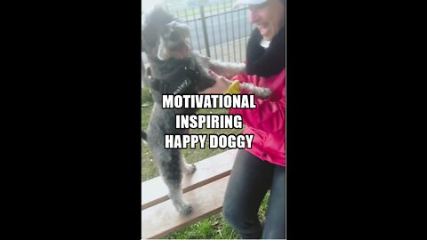 Motivational Inspiring Uplifting Happy Doggy