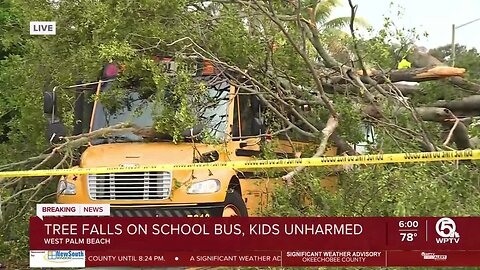 Tree falls on school bus in West Palm Beach